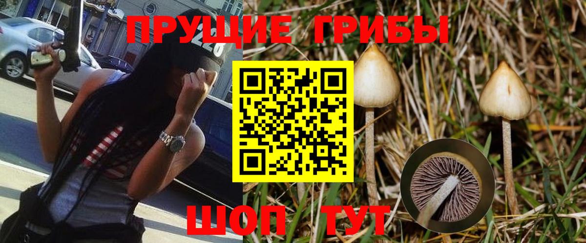 Заволжье  Псилоцибиновые грибы Magic Shrooms  Вход с VPN 